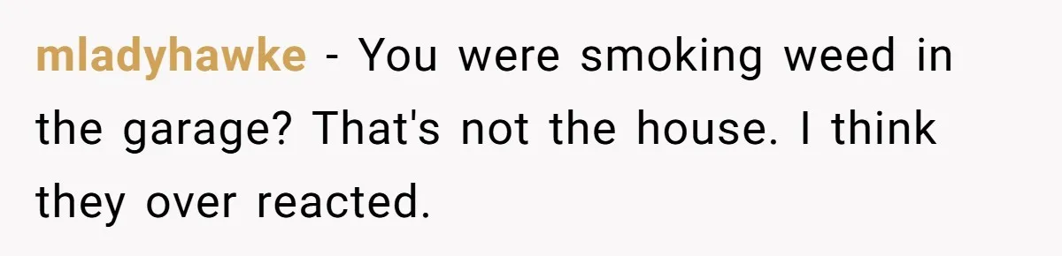 mladyhawke − You were smoking weed in the garage? That's not the house. I think they over reacted.