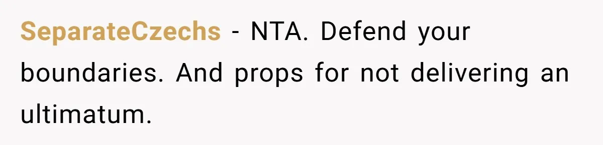 SeparateCzechs − NTA. Defend your boundaries. And props for not delivering an ultimatum.