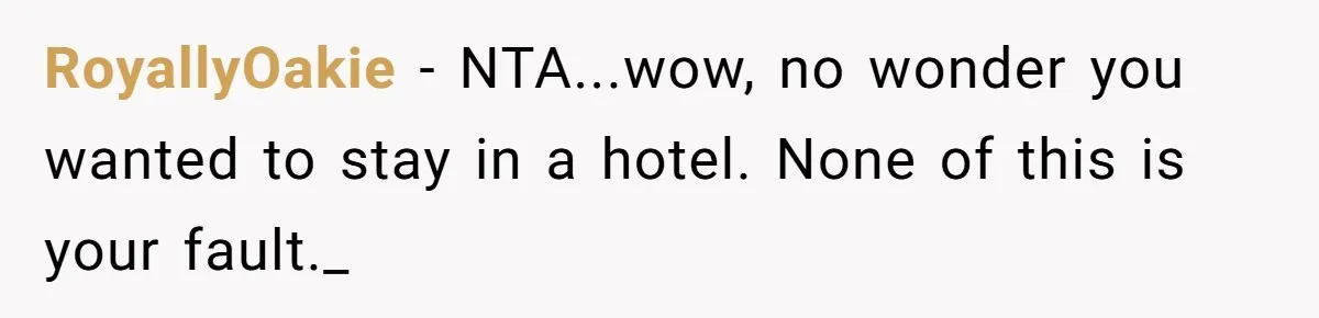 RoyallyOakie - NTA...wow, no wonder you wanted to stay in a hotel. None of this is your fault._