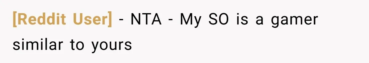 [Reddit User] − NTA - My SO is a gamer similar to yours