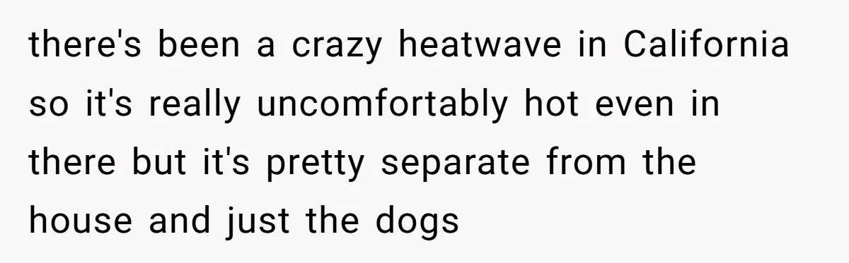 there's been a crazy heatwave in California so it's really uncomfortably hot even in there but it's pretty separate from the house and just the dogs