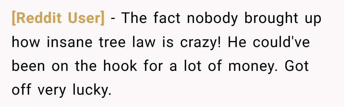 [Reddit User] − The fact nobody brought up how insane tree law is crazy! He could've been on the hook for a lot of money. Got off very lucky.