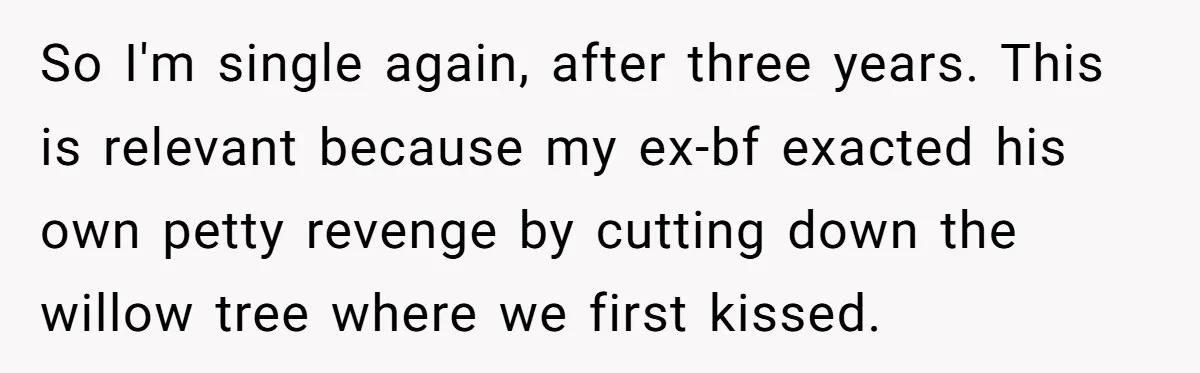 So I'm single again, after three years. This is relevant because my ex-bf exacted his own petty revenge by cutting down the willow tree where we first kissed.