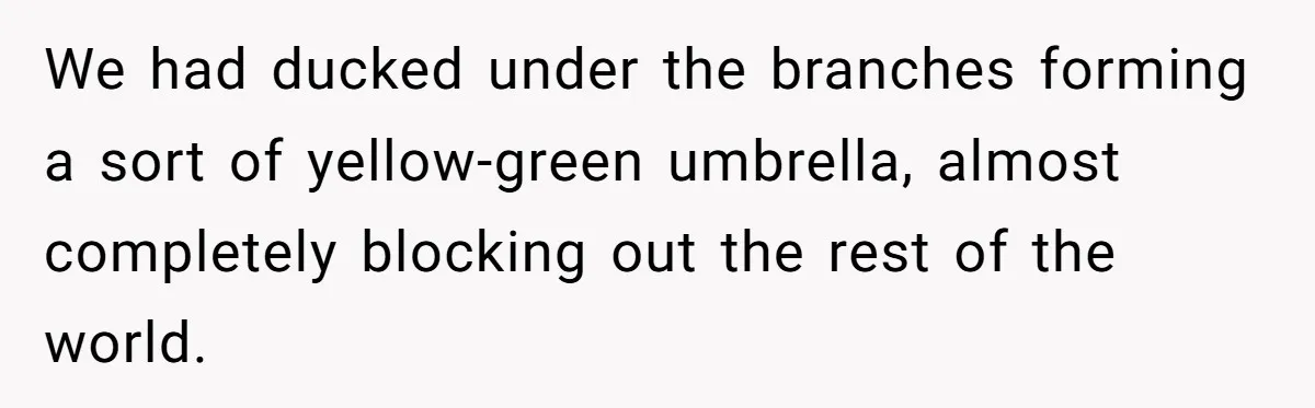 We had ducked under the branches forming a sort of yellow-green umbrella, almost completely blocking out the rest of the world.