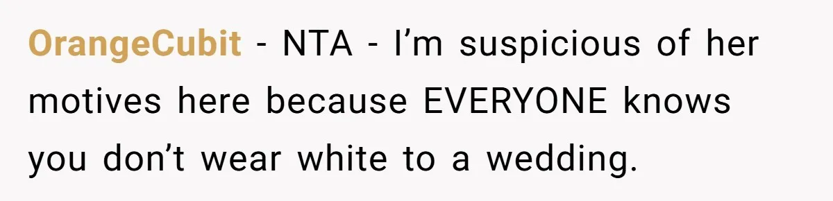 OrangeCubit − NTA - I’m suspicious of her motives here because EVERYONE knows you don’t wear white to a wedding.