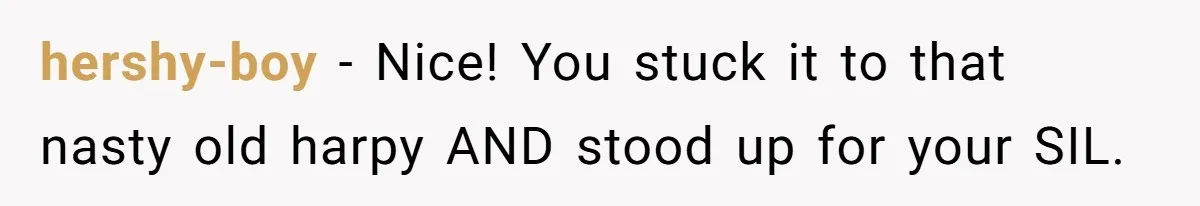 hershy-boy − Nice! You stuck it to that nasty old harpy AND stood up for your SIL.
