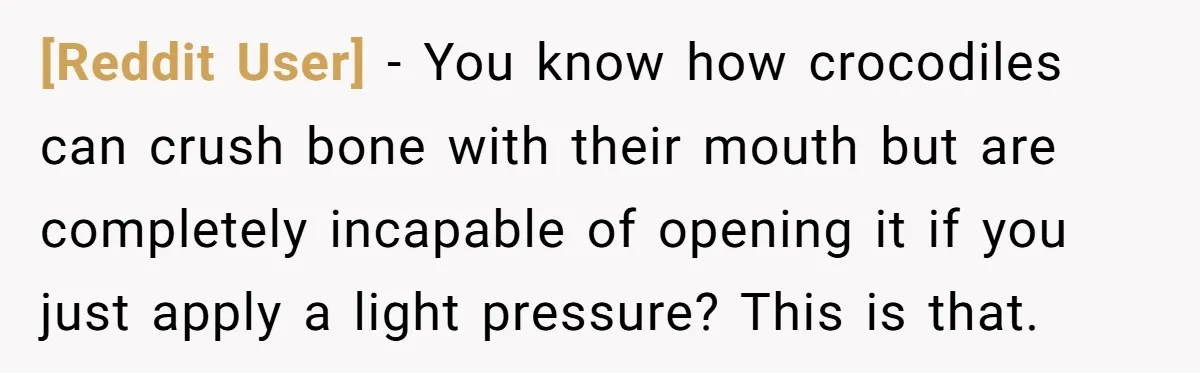 [Reddit User] − You know how crocodiles can crush bone with their mouth but are completely incapable of opening it if you just apply a light pressure? This is that.