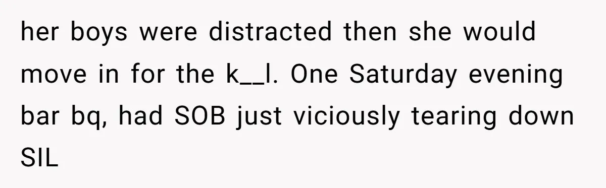 her boys were distracted then she would move in for the k__l. One Saturday evening bar bq, had SOB just viciously tearing down SIL