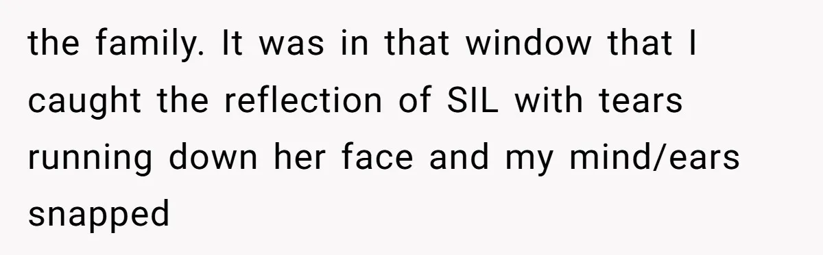 the family. It was in that window that I caught the reflection of SIL with tears running down her face and my mind/ears snapped