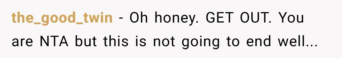 the_good_twin − Oh honey. GET OUT. You are NTA but this is not going to end well...