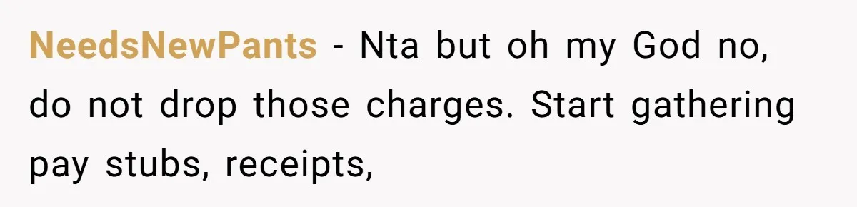 NeedsNewPants − Nta but oh my God no, do not drop those charges. Start gathering pay stubs, receipts,