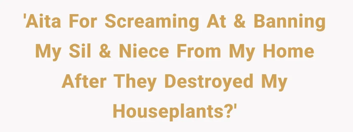 'AITA for screaming at & banning my SIL & niece from my home after they DESTROYED my houseplants?'