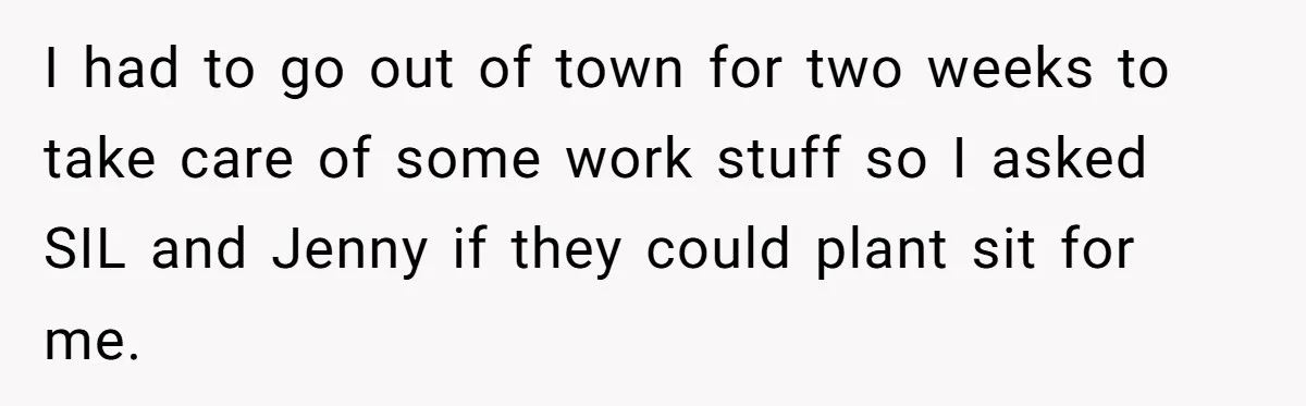 I had to go out of town for two weeks to take care of some work stuff so I asked SIL and Jenny if they could plant sit for me.