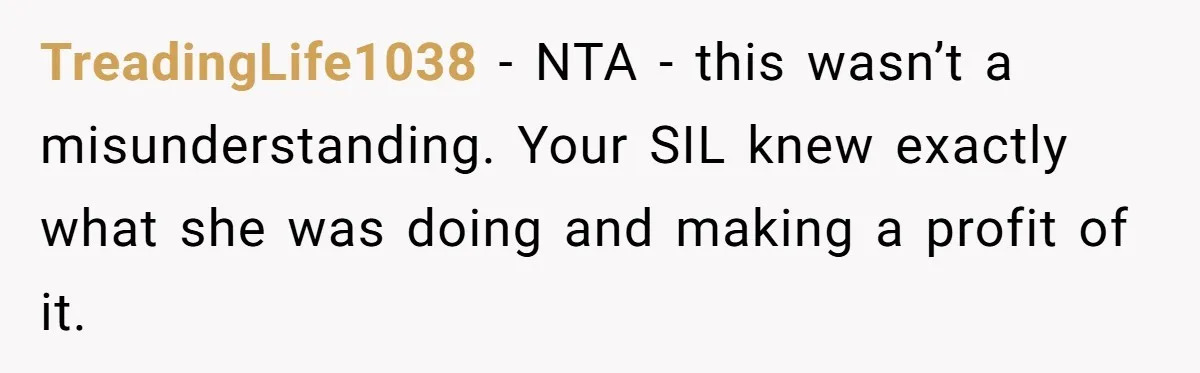 TreadingLife1038 − NTA - this wasn’t a misunderstanding. Your SIL knew exactly what she was doing and making a profit of it.
