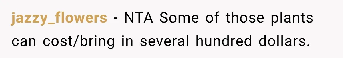 jazzy_flowers − NTA Some of those plants can cost/bring in several hundred dollars.