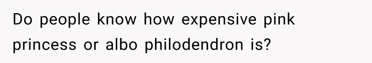 Do people know how expensive pink princess or albo philodendron is?