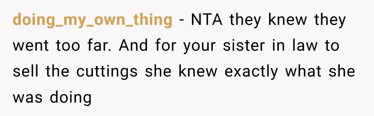 doing_my_own_thing − NTA they knew they went too far. And for your sister in law to sell the cuttings she knew exactly what she was doing