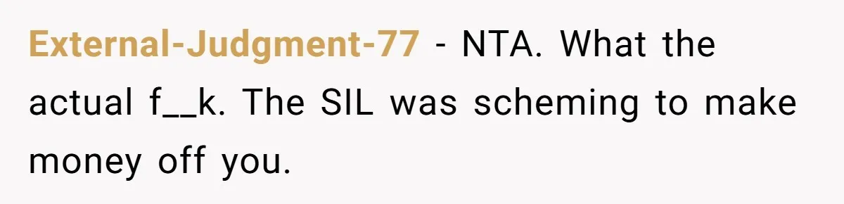 External-Judgment-77 − NTA. What the actual f__k. The SIL was scheming to make money off you.