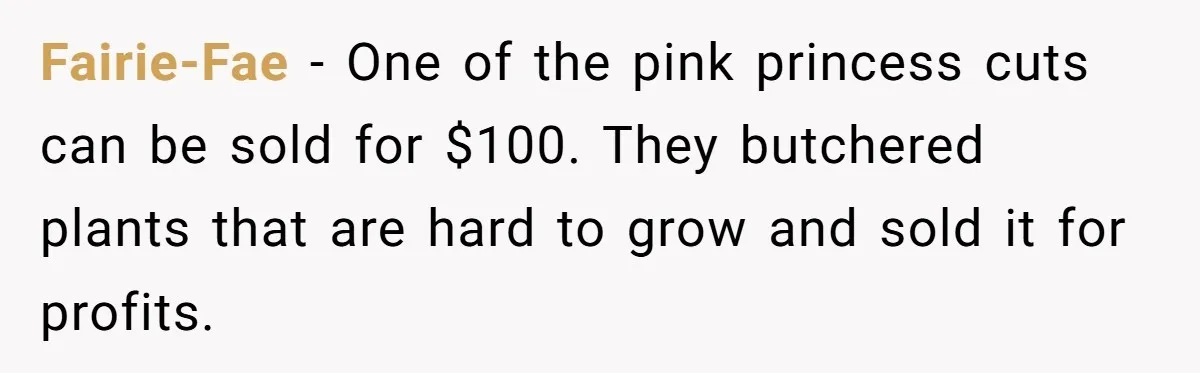 Fairie-Fae − One of the pink princess cuts can be sold for $100. They butchered plants that are hard to grow and sold it for profits.