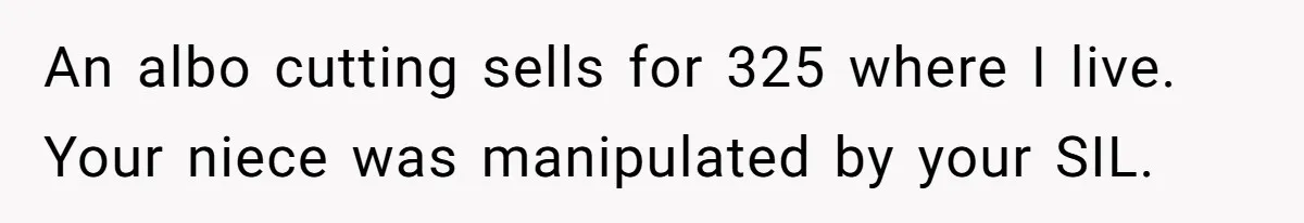 An albo cutting sells for 325 where I live. Your niece was manipulated by your SIL.