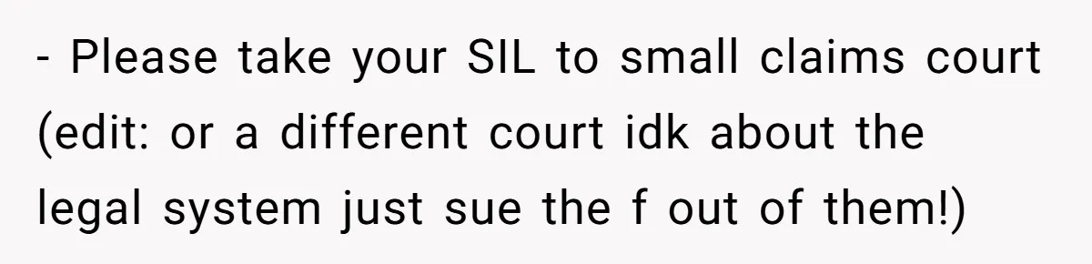 - Please take your SIL to small claims court (edit: or a different court idk about the legal system just sue the f out of them!)