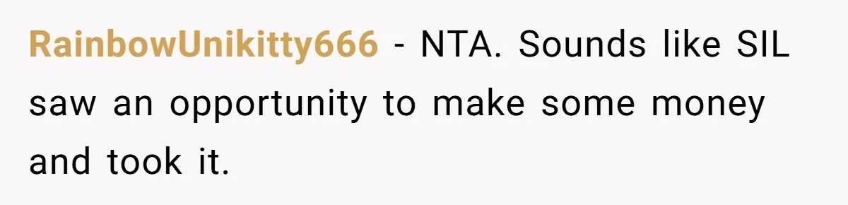 RainbowUnikitty666 − NTA. Sounds like SIL saw an opportunity to make some money and took it.