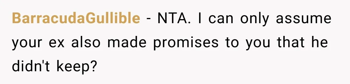 BarracudaGullible − NTA. I can only assume your ex also made promises to you that he didn't keep?