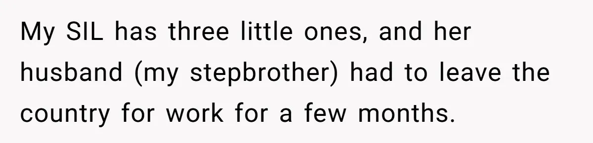 My SIL has three little ones, and her husband (my stepbrother) had to leave the country for work for a few months.
