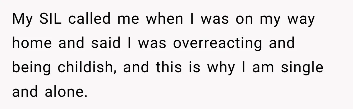 My SIL called me when I was on my way home and said I was overreacting and being childish, and this is why I am single and alone.