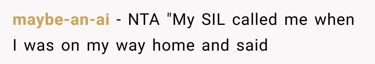 maybe-an-ai − NTA "My SIL called me when I was on my way home and said