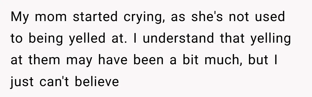 My mom started crying, as she's not used to being yelled at. I understand that yelling at them may have been a bit much, but I just can't believe