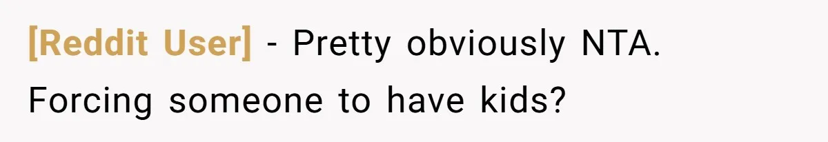 [Reddit User] − Pretty obviously NTA. Forcing someone to have kids?