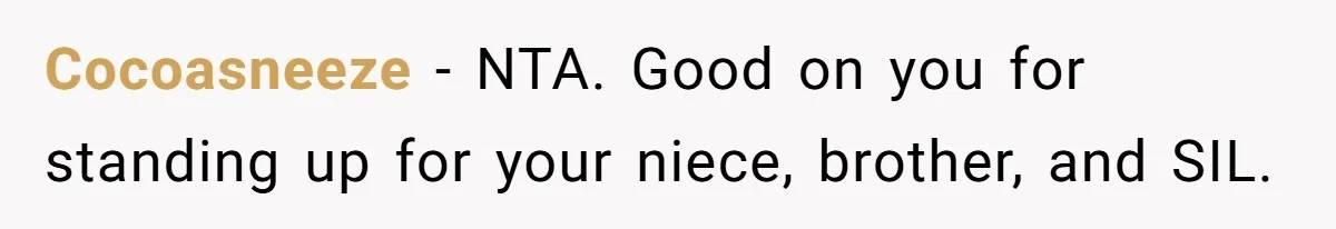 Cocoasneeze − NTA. Good on you for standing up for your niece, brother, and SIL.