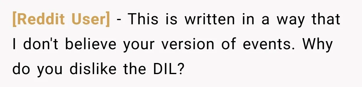 [Reddit User] − This is written in a way that I don't believe your version of events. Why do you dislike the DIL?
