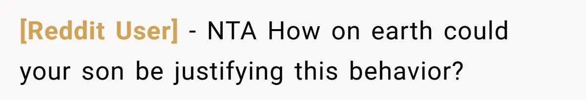 [Reddit User] − NTA How on earth could your son be justifying this behavior?