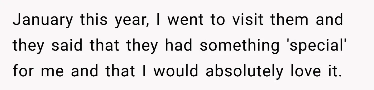 January this year, I went to visit them and they said that they had something 'special' for me and that I would absolutely love it.