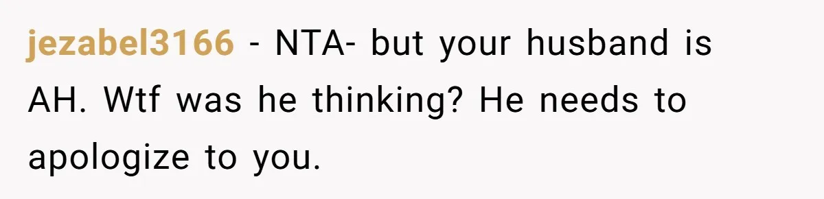 jezabel3166 − NTA- but your husband is AH. Wtf was he thinking? He needs to apologize to you.
