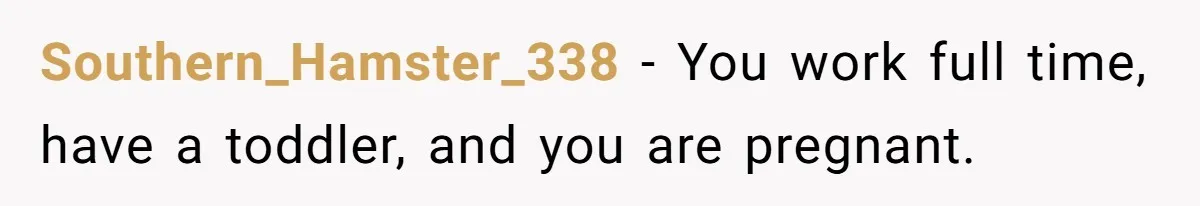 Southern_Hamster_338 − You work full time, have a toddler, and you are pregnant.
