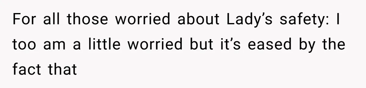 For all those worried about Lady’s safety: I too am a little worried but it’s eased by the fact that