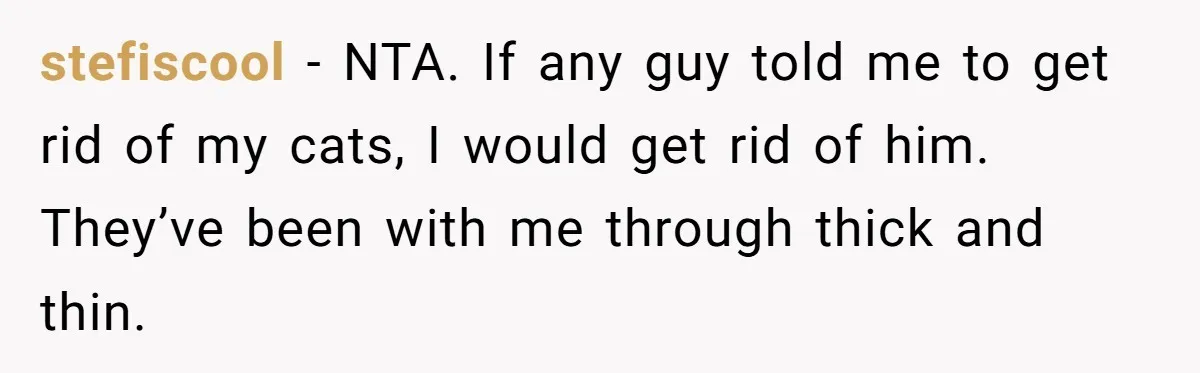 stefiscool − NTA. If any guy told me to get rid of my cats, I would get rid of him. They’ve been with me through thick and thin.