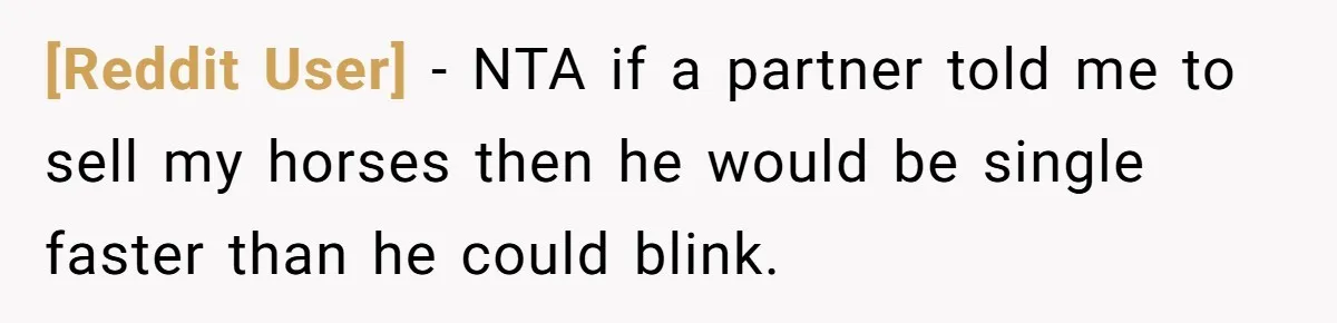 [Reddit User] − NTA if a partner told me to sell my horses then he would be single faster than he could blink.