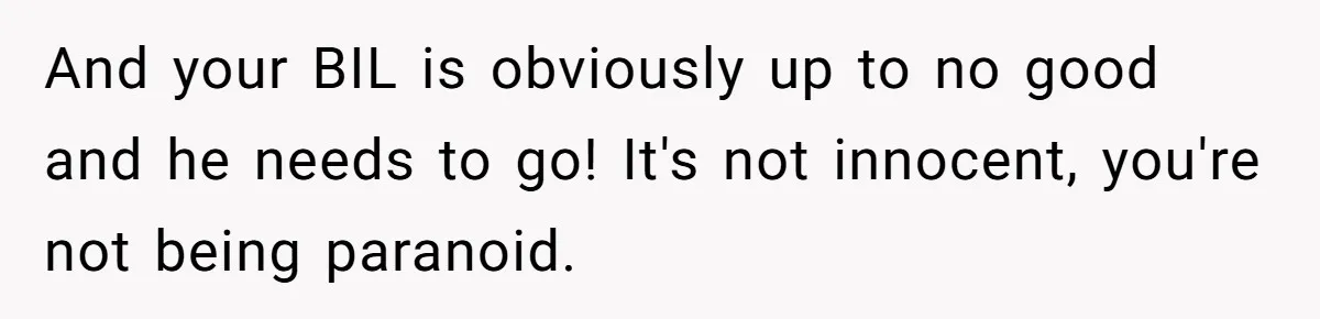 And your BIL is obviously up to no good and he needs to go! It's not innocent, you're not being paranoid.