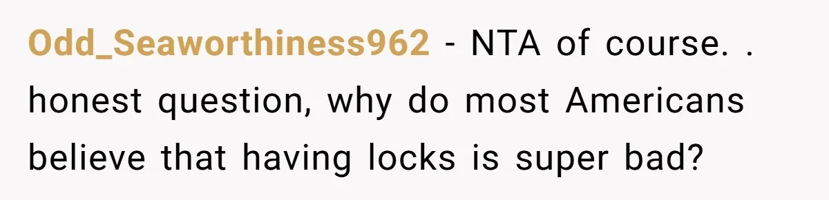Odd_Seaworthiness962 − NTA of course. . honest question, why do most Americans believe that having locks is super bad?