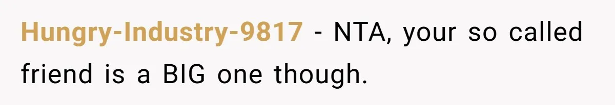 Hungry-Industry-9817 − NTA, your so called friend is a BIG one though.