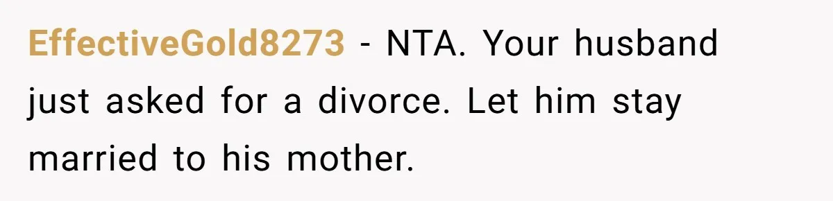 EffectiveGold8273 − NTA. Your husband just asked for a divorce. Let him stay married to his mother.