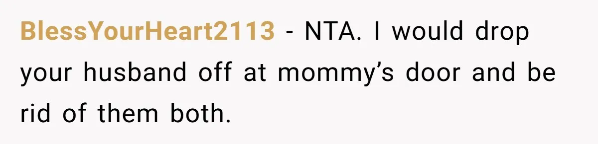 BlessYourHeart2113 − NTA. I would drop your husband off at mommy’s door and be rid of them both.