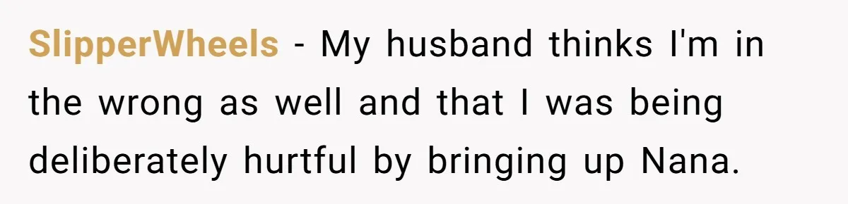 SlipperWheels − My husband thinks I'm in the wrong as well and that I was being deliberately hurtful by bringing up Nana.