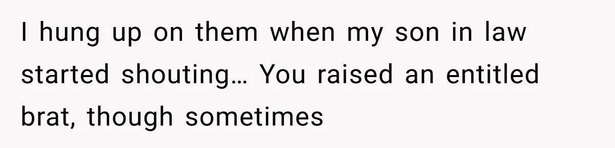 I hung up on them when my son in law started shouting… You raised an entitled brat, though sometimes