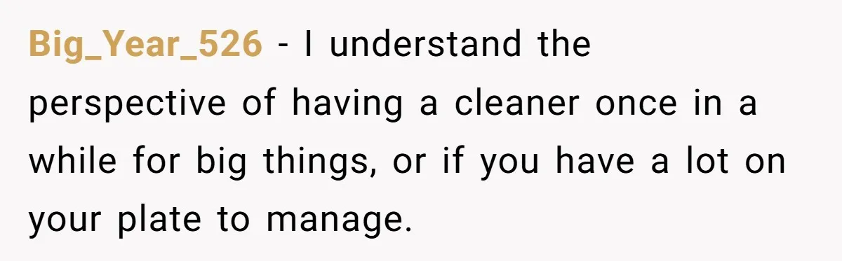 Big_Year_526 − I understand the perspective of having a cleaner once in a while for big things, or if you have a lot on your plate to manage.