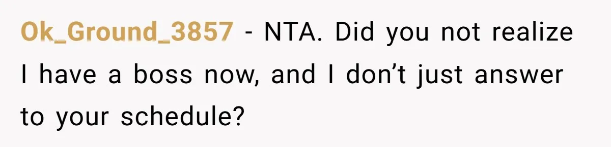 Ok_Ground_3857 − NTA. Did you not realize I have a boss now, and I don’t just answer to your schedule?